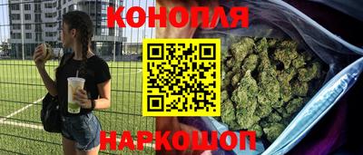 шишки Аргун