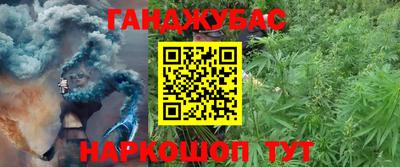 шишки Аргун