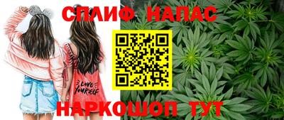 прущие грибы Апрелевка