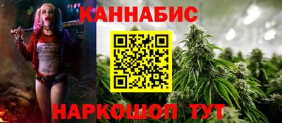 шишки Аргун