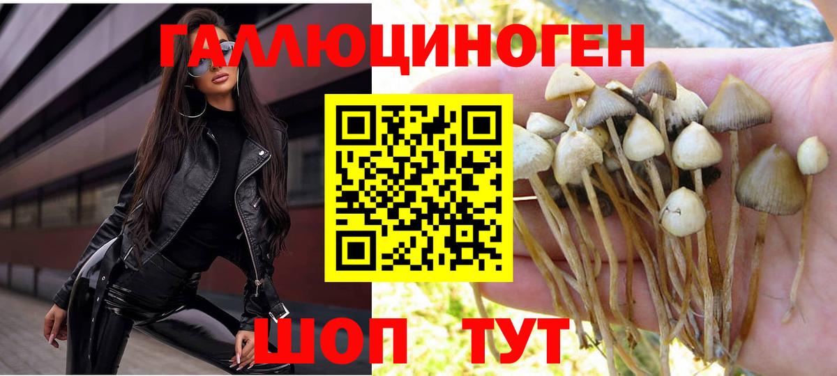 Псилоцибиновые грибы ЛСД  Вход с VPN  Псилоцибиновые грибы Magic Shrooms  Артёмовский 